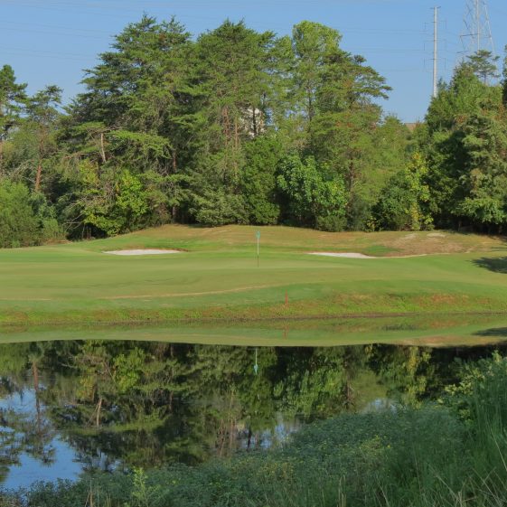 Tega Cay Golf Club Voted 1 Best Golf Course in the Fort Mill area